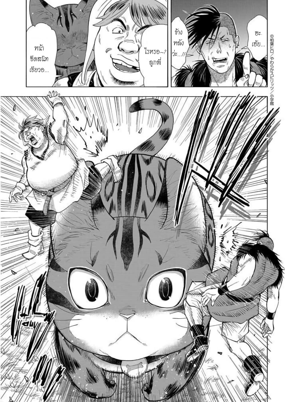 Isekai Neko to Fukigenna Majo 6 12