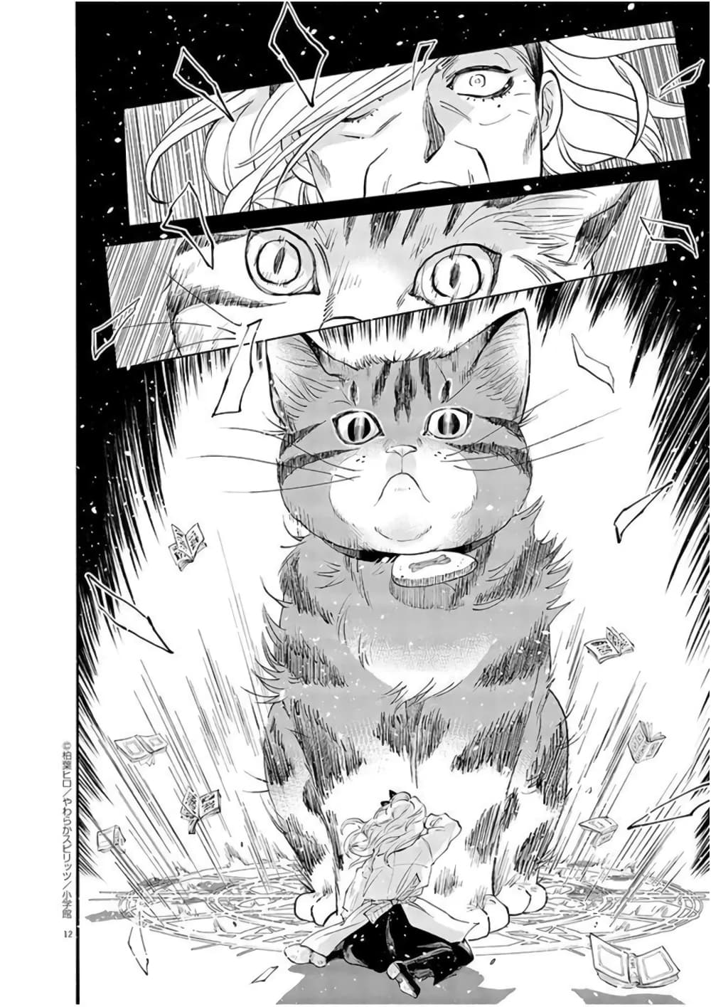 Isekai Neko to Fukigenna Majo 1 12