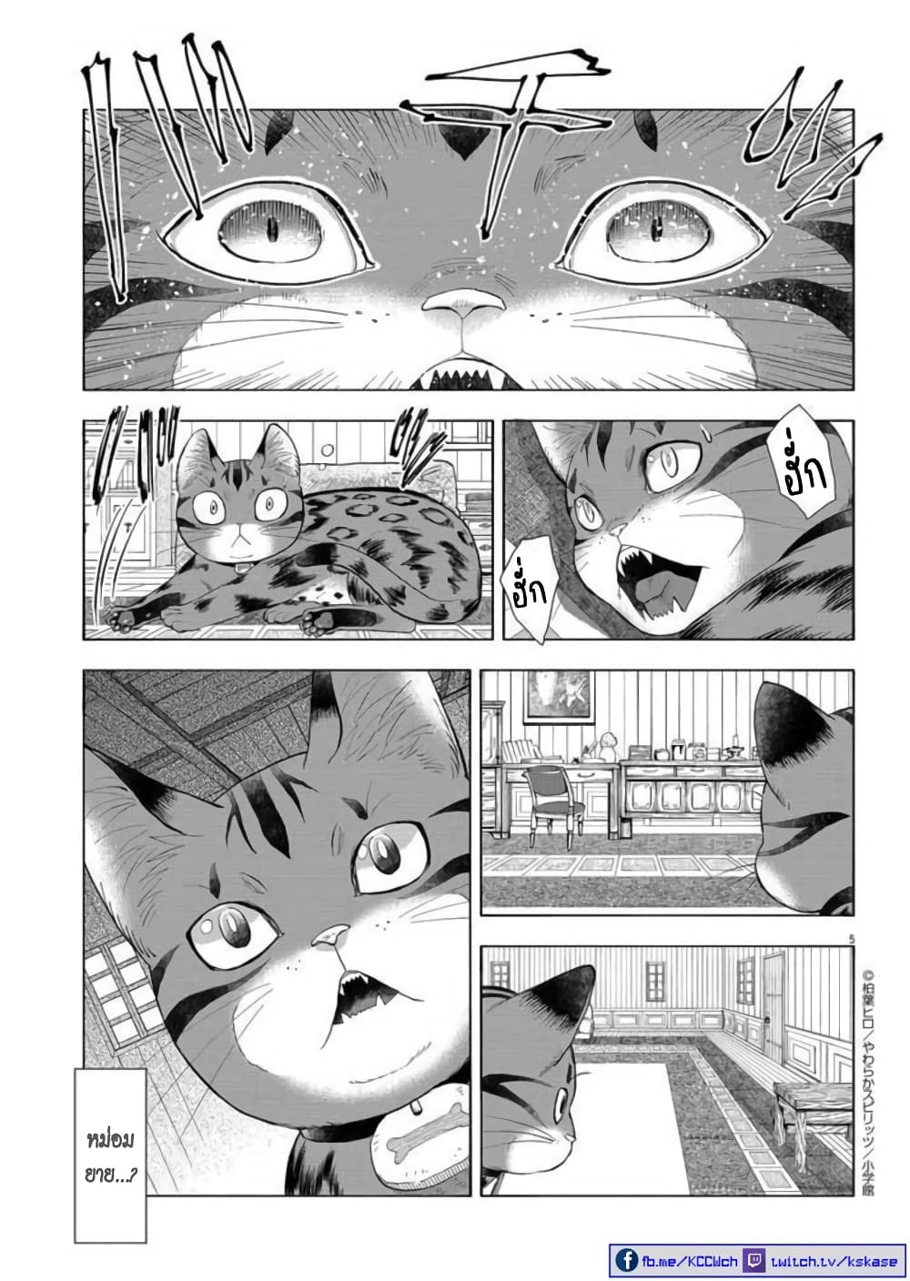 Isekai Neko to Fukigenna Majo 6 06