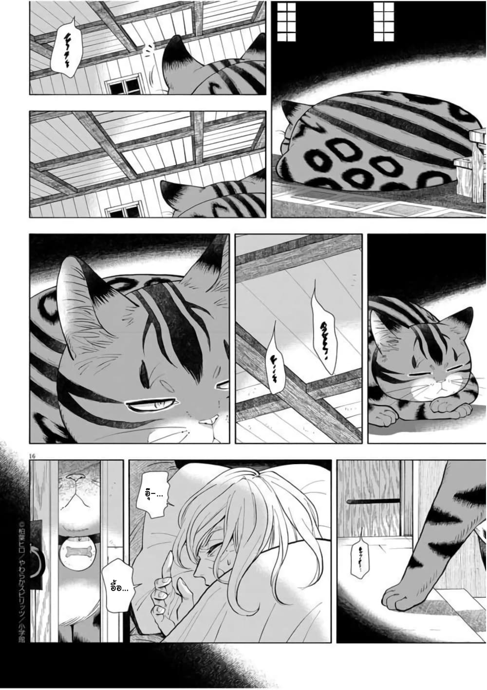 Isekai Neko to Fukigenna Majo 3 17