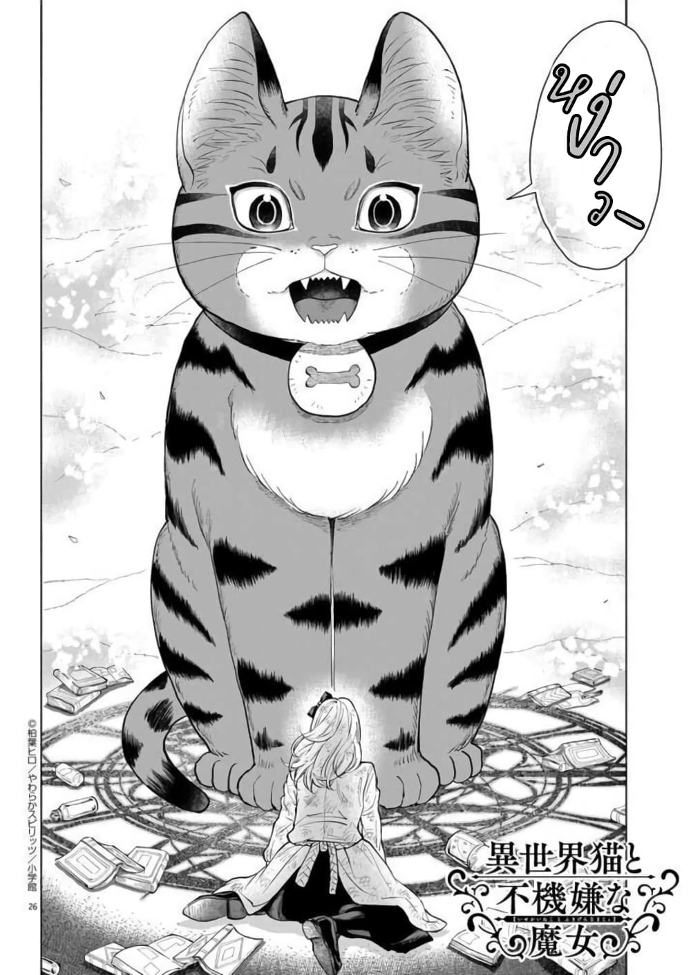 Isekai Neko to Fukigenna Majo 5 27