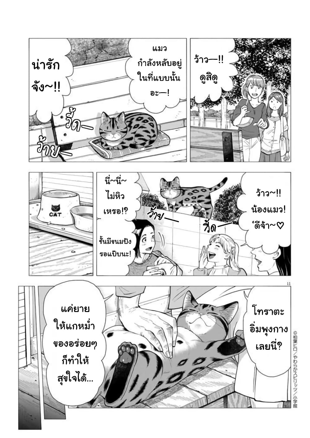 Isekai Neko to Fukigenna Majo 3 12