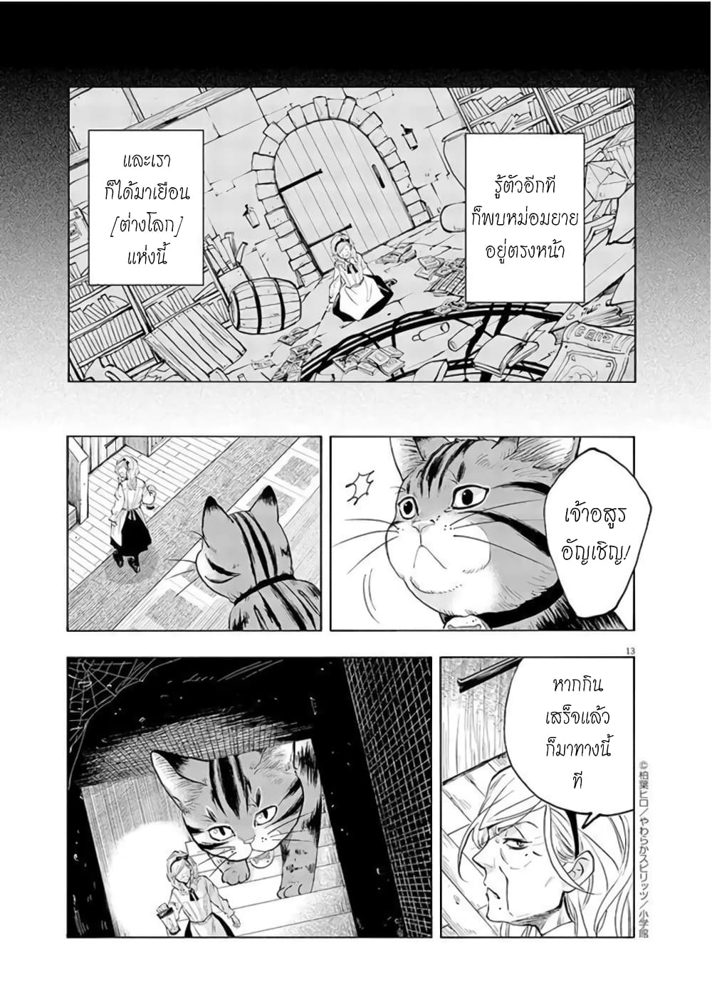 Isekai Neko to Fukigenna Majo 1 13