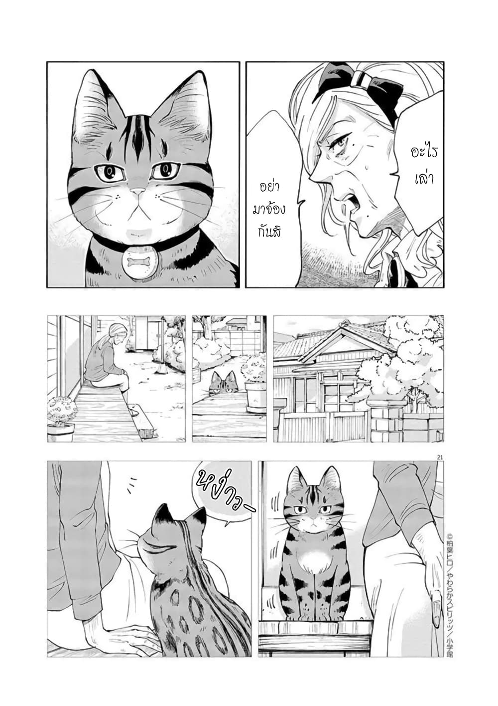 Isekai Neko to Fukigenna Majo 1 21