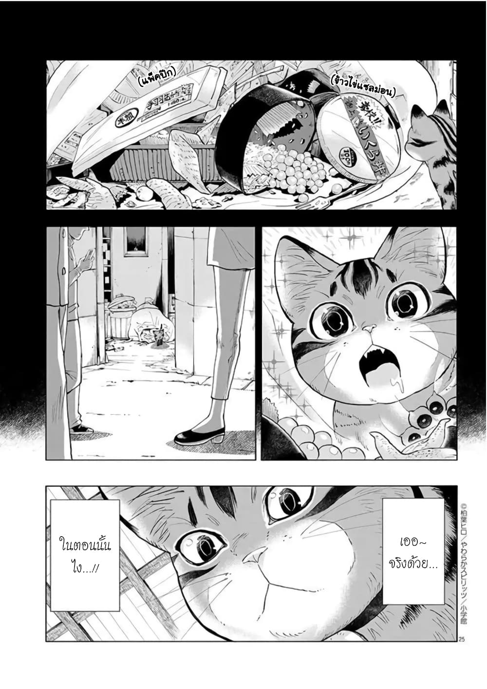 Isekai Neko to Fukigenna Majo 2 25