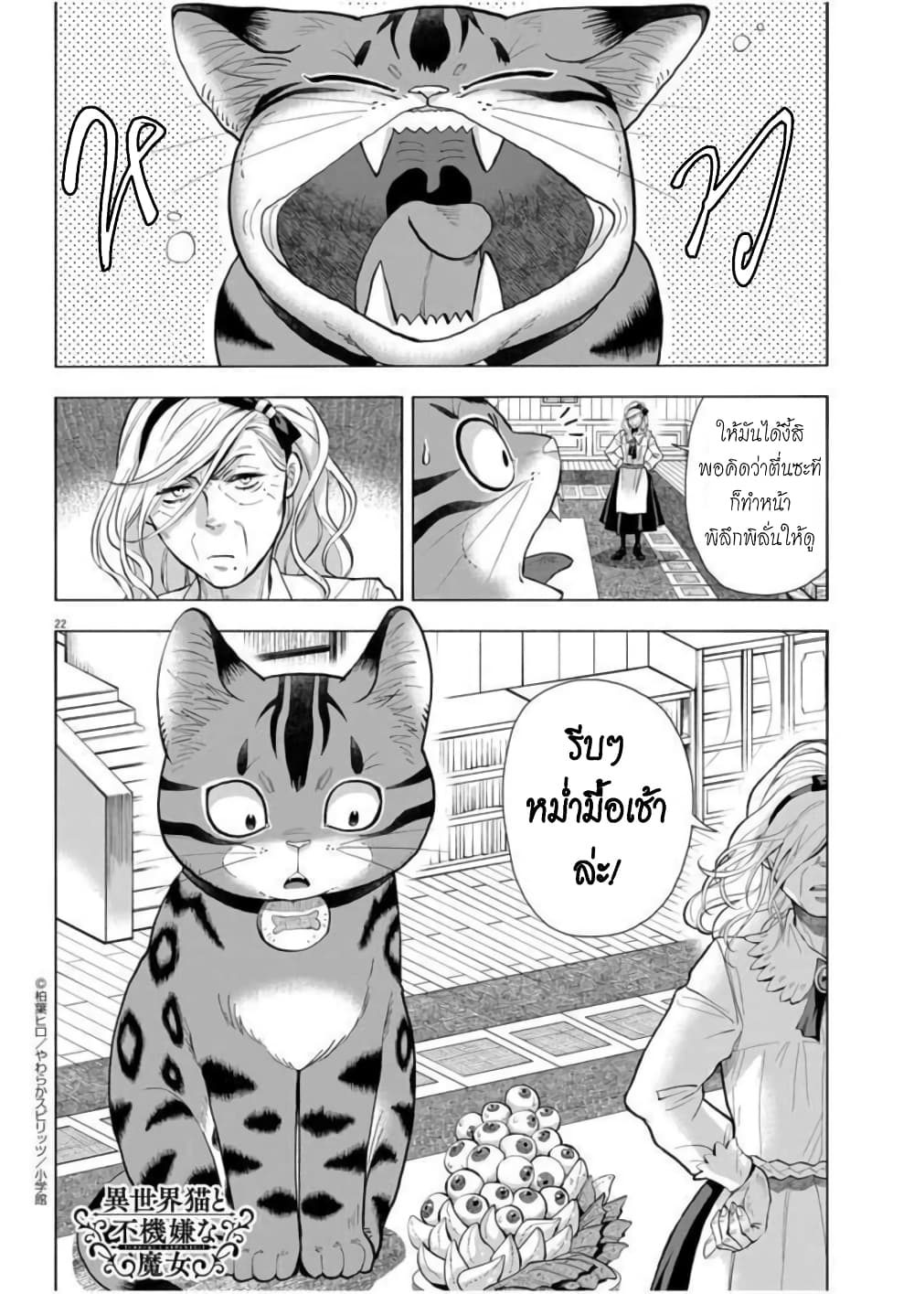 Isekai Neko to Fukigenna Majo 3 23