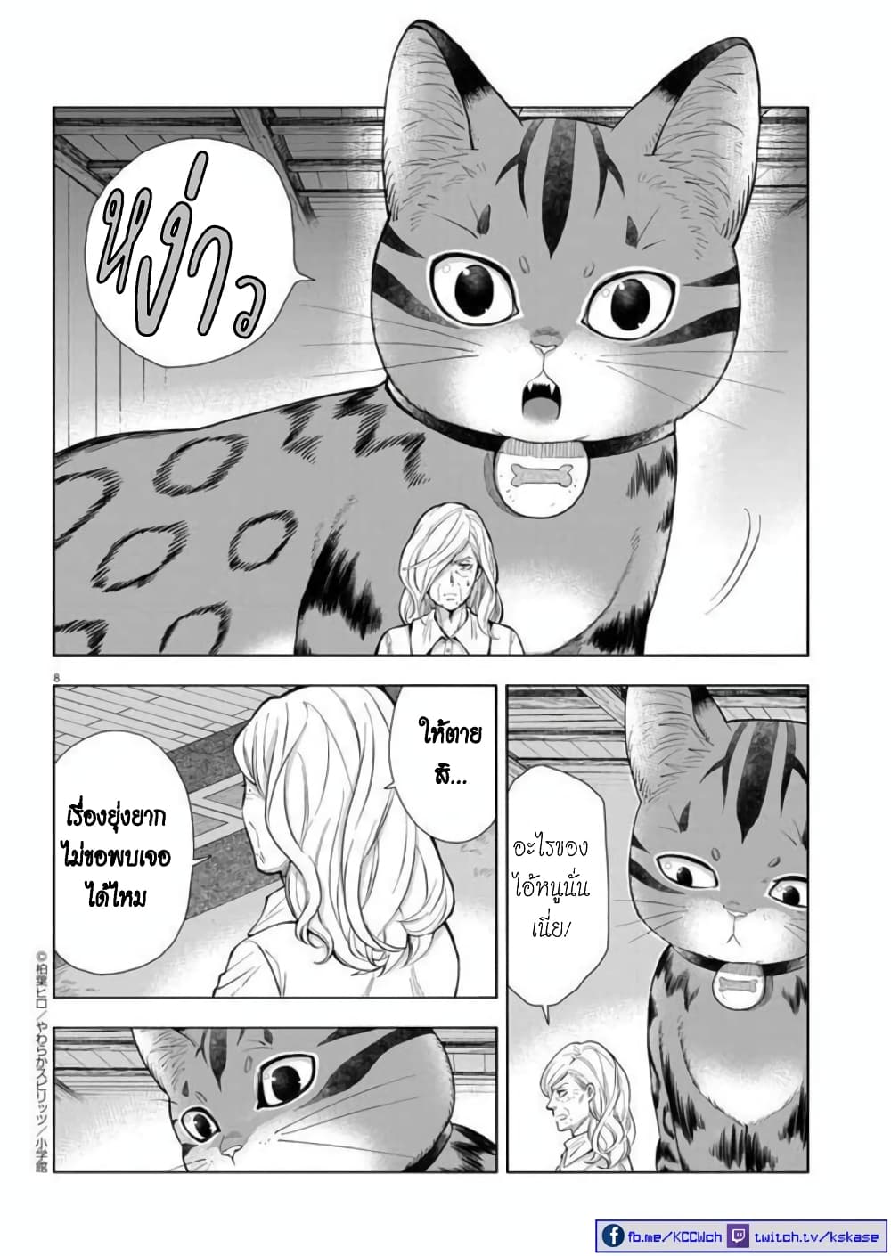 Isekai Neko to Fukigenna Majo 9 09